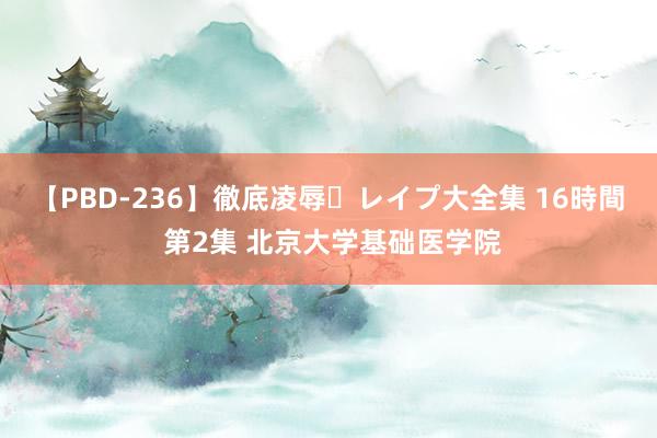   【PBD-236】徹底凌辱・レイプ大全集 16時間 第2集 北京大学基础医学院