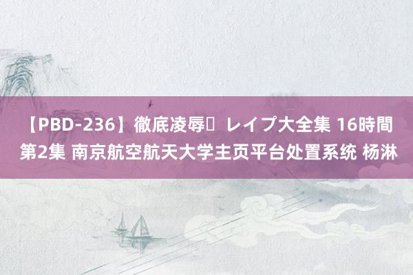   【PBD-236】徹底凌辱・レイプ大全集 16時間 第2集 南京航空航天大学主页平台处置系统 杨淋