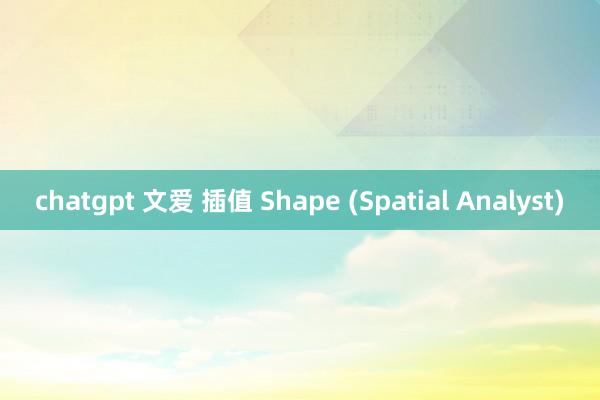   chatgpt 文爱 插值 Shape (Spatial Analyst)