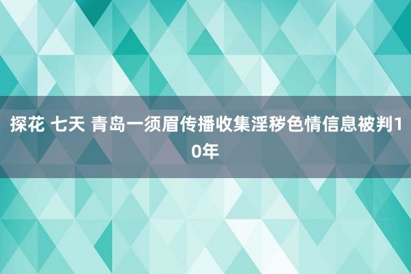   探花 七天 青岛一须眉传播收集淫秽色情信息被判10年