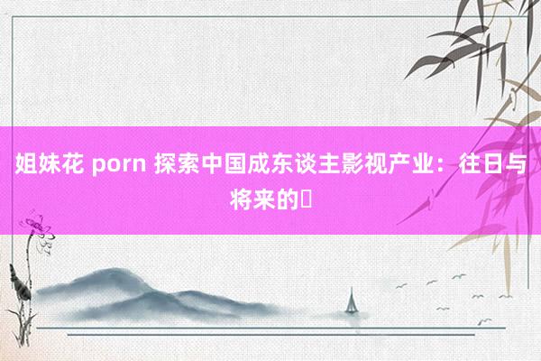   姐妹花 porn 探索中国成东谈主影视产业：往日与将来的�