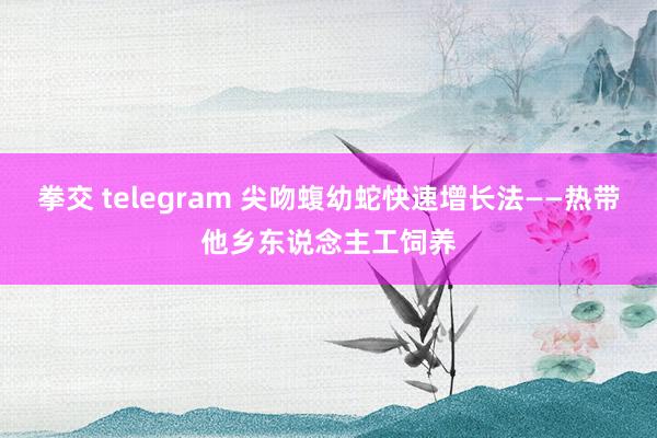 拳交 telegram 尖吻蝮幼蛇快速增长法——热带他乡东说